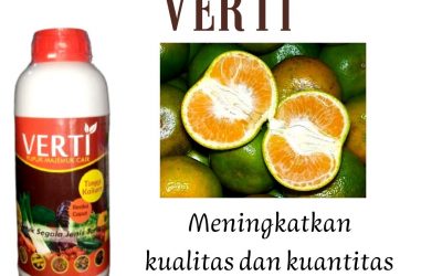 HUB! WA : 0812-2882-4834, Distributor Pupuk Perangsang Buah Jeruk Purwokerto, Produsen Pupuk Perangsang Buah Jagung Batang, Pabrik Pupuk Perangsang Buah Jambu Kristal Blora
