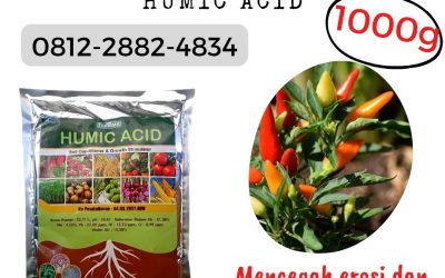 ORGANIK ! 0812-2882-4834 Distributor asam humat untuk cabe di Blitar, Produsen asam humat untuk tanaman cabe di Kanigoro, Pabrik asam humat terbaik di Bojonegoro