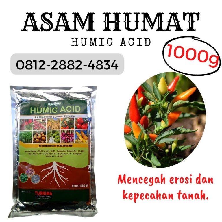 ORGANIK ! 0812-2882-4834 Distributor asam humat untuk cabe di Blitar, Produsen asam humat untuk tanaman cabe di Kanigoro, Pabrik asam humat terbaik di Bojonegoro