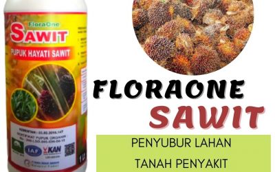 ORGANIK ! 0812-2882-4834 Distributor obat sawit kena jamur di Empat Lawang, Produsen obat sawit daun kuning di Tebing Tinggi, Pabrik obat sawit patah pelepah di Lahat