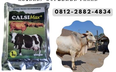ORGANIK ! 0812-2882-4834 Distributor pakan sapi bali penggemukan di Purwokerto, Produsen pakan sapi berprotein tinggi di Batang, Pabrik pakan sapi bernutrisi tinggi di Blora