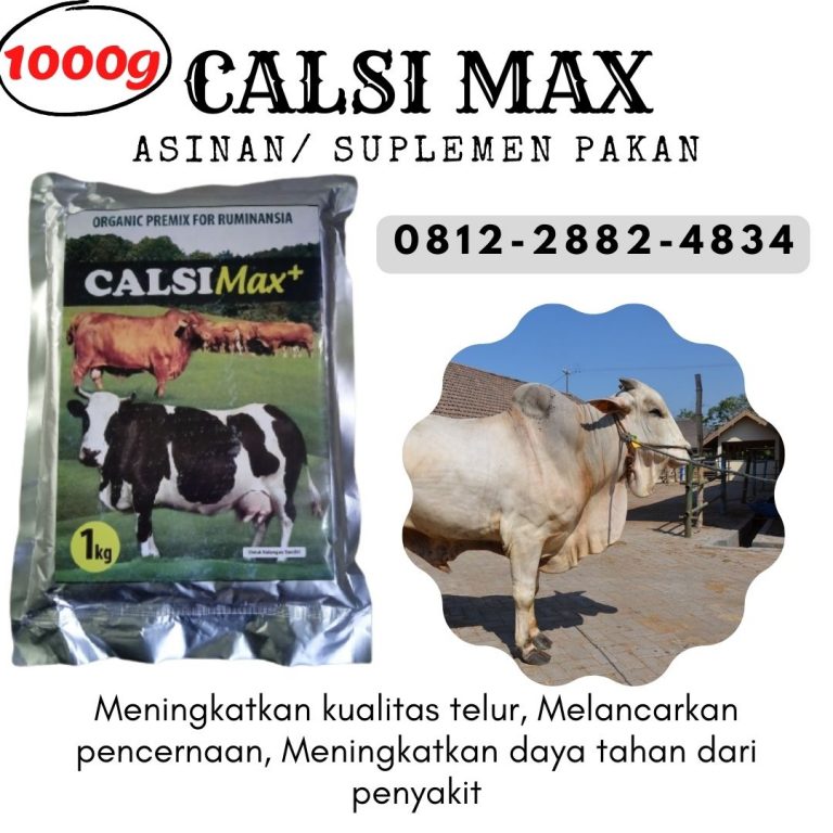 ORGANIK ! 0812-2882-4834 Distributor pakan sapi bali penggemukan di Purwokerto, Produsen pakan sapi berprotein tinggi di Batang, Pabrik pakan sapi bernutrisi tinggi di Blora