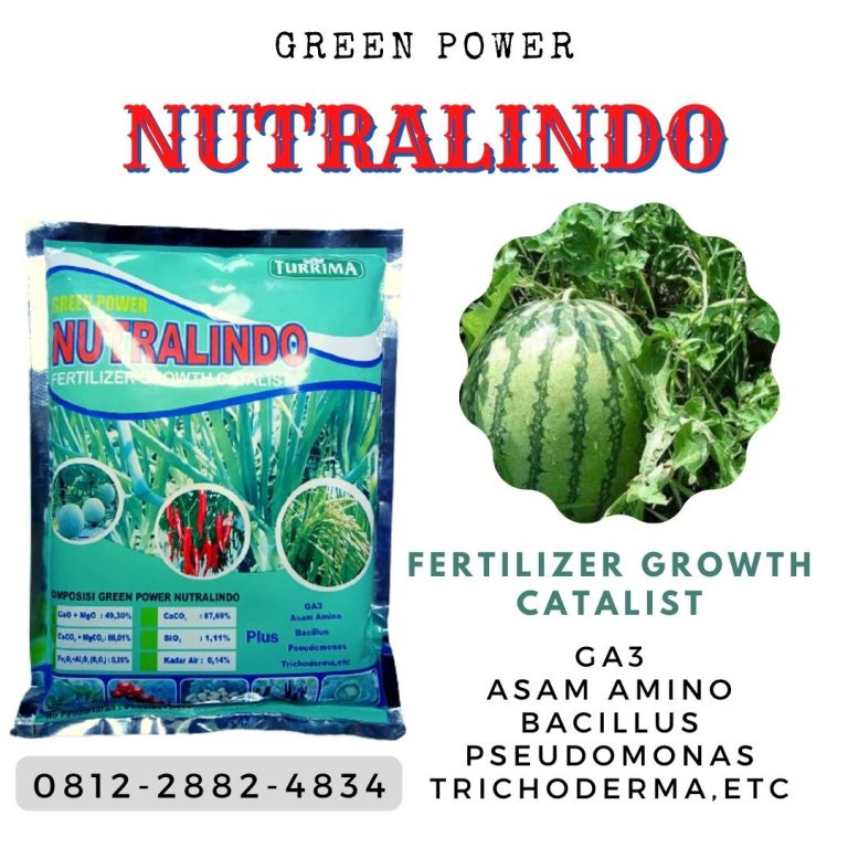 ORGANIK ! 0812-2882-4834 Distributor pupuk agar semangka berbuah besar di Purwokerto, Produsen pupuk alami semangka di Batang, Pabrik pupuk agar buah semangka besar di Blora