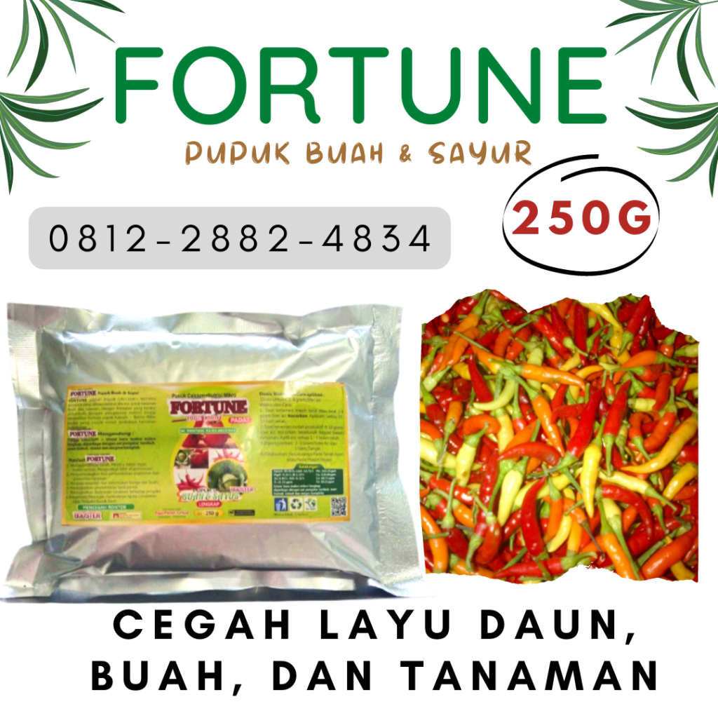  Distributor pupuk cabe terbaik di Solok, Produsen pupuk cabe saat berbunga di Arosuka, Pabrik pupuk cabe saat berbunga dan berbuah di Sijunjung
