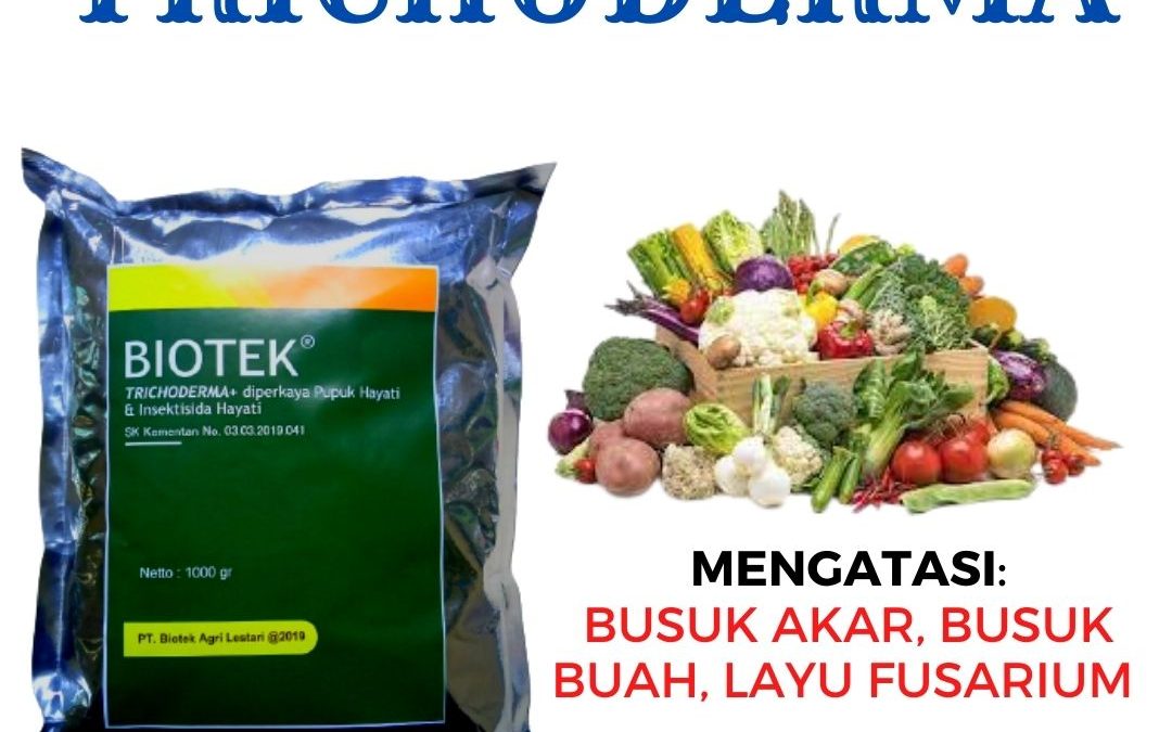 ORGANIK ! 0812-2882-4834 Distributor pupuk hayati terbaik untuk padi di Aceh Barat Daya, Produsen pupuk hayati untuk cabe di Blangpidie, Pabrik pupuk hayati untuk jagung di Aceh Besar