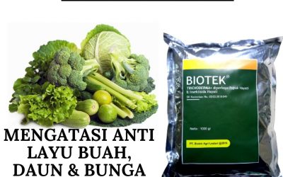 ORGANIK ! 0812-2882-4834 Distributor pupuk untuk tanaman layu di Solok, Produsen pupuk tanaman layu di Arosuka, Pabrik pupuk anti layu di Sijunjung