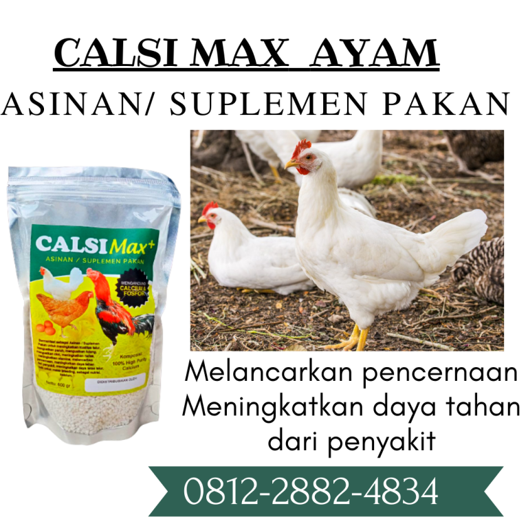 ORGANIK ! 0812-2882-4834 Grosir Suplemen Ayam Aduan Di Blitar, Jual Suplemen Ayam Bangkok Di Kanigoro, Supplier Suplemen Untuk Ayam Aduan Di Bojonegoro