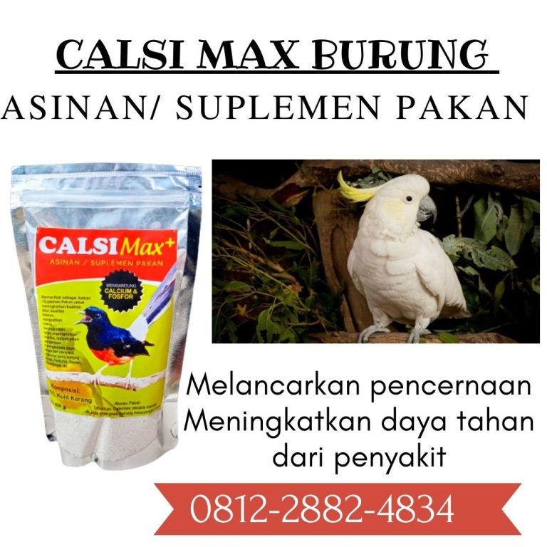 ORGANIK ! 0812-2882-4834 Grosir Suplemen Pakan Burung Jalak Kebo Di Surabaya, Jual Suplemen Pakan Burung Jalak Putih Di Bangkalan, Supplier Suplemen Pakan Burung Jalak Nias Di Banyuwangi