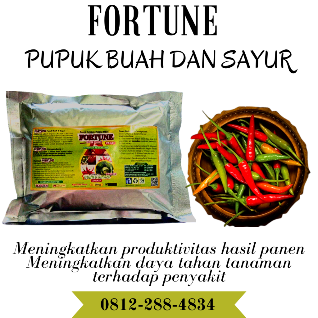 Grosir obat cabe keriting Di Bangko, Jual obat cabe busuk sebelum matang Di Sarolangun, Supplier obat cabe layu mati Di Sarolangun, Suplier obat cabe patek Di Batanghari, Pusat obat cabe rontok busuk Di Muara Bulian, Distributor obat cabe daun keriting Di Muaro Jambi, Produsen obat cabe busuk kering Di Sengeti, Pabrik obat cabe agar berbuah lebat Di Tanjung Jabung Barat, Agen obat cabe agar tidak rontok Di Kuala Tungkal, Harga obat cabe anti keriting Di Tanjung Jabung Timur