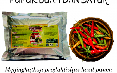 ORGANIK ! 0812-2882-4834 Grosir obat cabe keriting Di Bangko, Jual obat cabe busuk sebelum matang Di Sarolangun, Supplier obat cabe layu mati Di Sarolangun