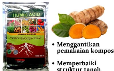 Grosir 0812-2882-4834 Grosir pupuk asam humat untuk tanah di Mempawah, Jual pembenah tanah di Sungai Kunyit, Supplier pupuk pembenah tanah di Sanggau