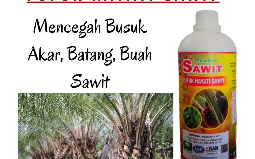 ORGANIK ! 0812-2882-4834 Grosir pupuk cair terbaik untuk sawit Di Indragiri Hulu, Jual pupuk cair pembesar buah sawit Di Rengat, Supplier pupuk cair kelapa sawit Di Bengkalis