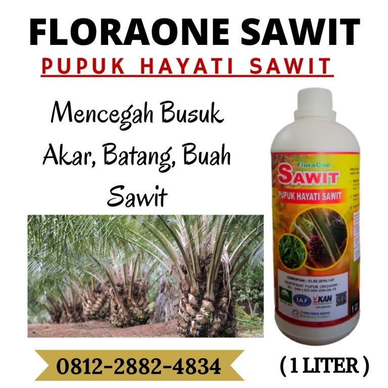 ORGANIK ! 0812-2882-4834 Grosir pupuk cair terbaik untuk sawit Di Indragiri Hulu, Jual pupuk cair pembesar buah sawit Di Rengat, Supplier pupuk cair kelapa sawit Di Bengkalis