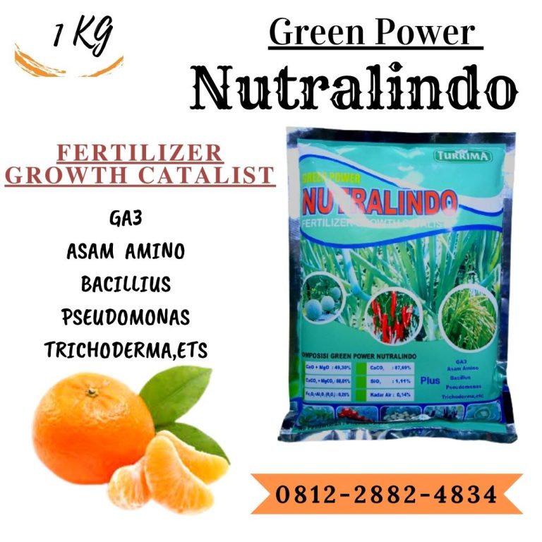 ORGANIK ! 0812-2882-4834 Grosir pupuk jeruk agar cepat berbuah di Mempawah, Jual pupuk jeruk umur 1 tahun di Sungai Kunyit, Supplier pupuk jeruk agar manis di Sanggau