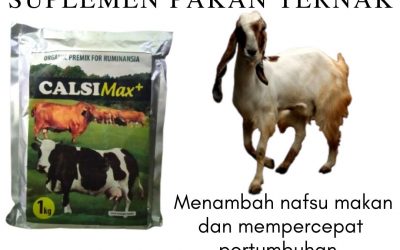 ORGANIK ! 0812-2882-4834 Grosir suplemen penggemuk badan untuk kambing Di Blitar, Jual vitamin kambing biar cepat besar Di Kanigoro, Supplier vitamin kambing agar cepat gemuk Di Bojonegoro