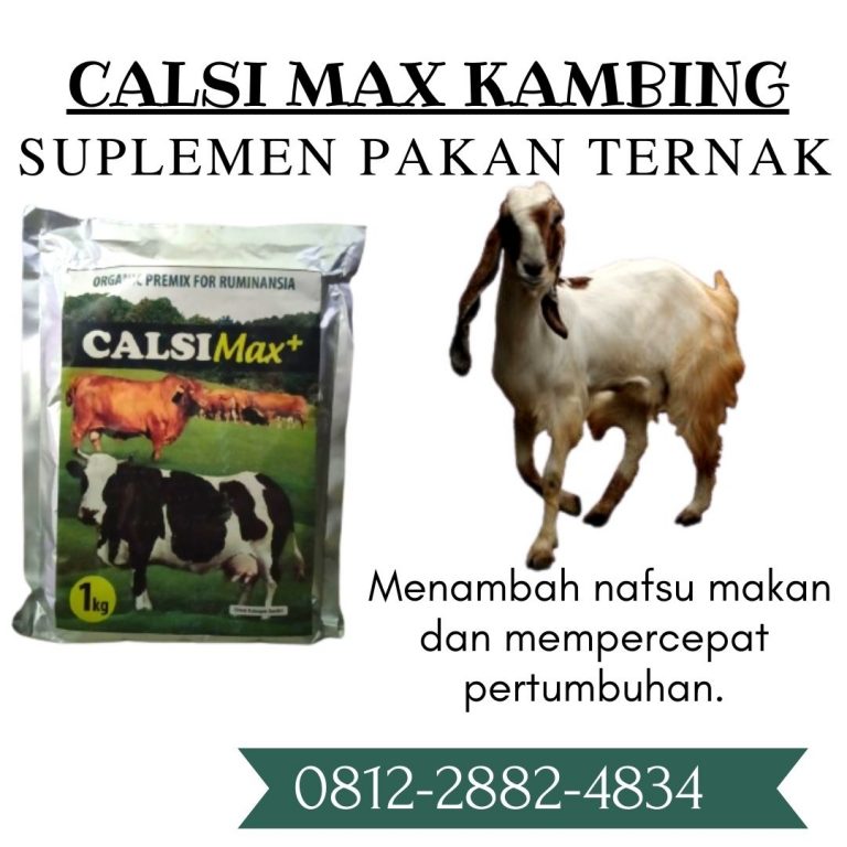 ORGANIK ! 0812-2882-4834 Grosir suplemen penggemuk badan untuk kambing Di Blitar, Jual vitamin kambing biar cepat besar Di Kanigoro, Supplier vitamin kambing agar cepat gemuk Di Bojonegoro
