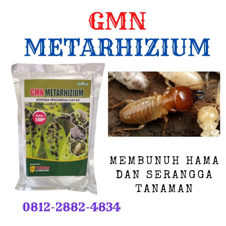 ALAMI! WA 0812-2882-4834 PUSAT insektisida pembasmi hama kutu daun di Solok, JUAL insektisida pembasmi hama trips di Arosuka, PABRIK insektisida pembasmi hama wereng di Sijunjung