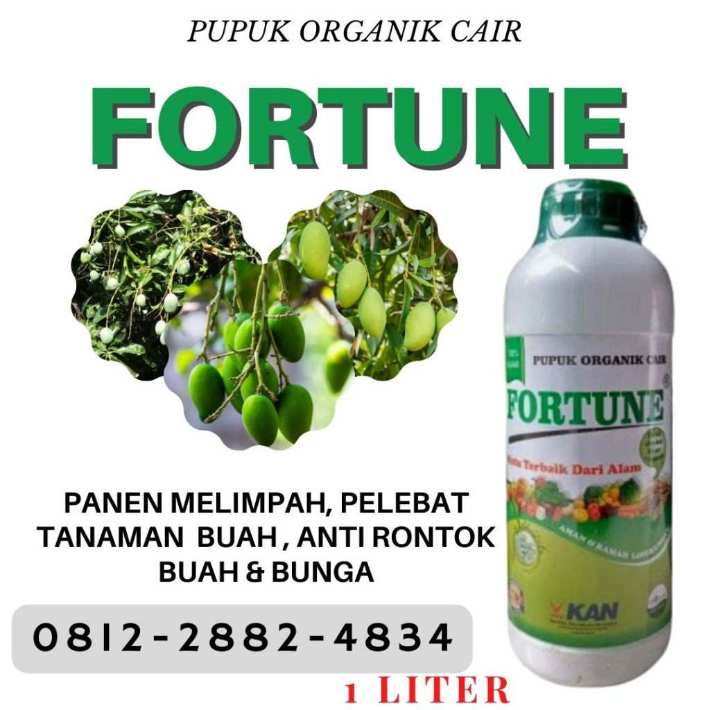 PUSAT pupuk mangga agar berbuah lebat di Kotabaru, JUAL pupuk mangga sedang berbunga di Banjar, PABRIK pupuk mangga supaya cepat berbuah di Martapura