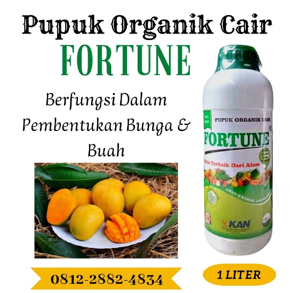 PUSAT pupuk mangga cepat berbuah di Banjar, JUAL pupuk mangga cepat buah di Martapura, DISTRIBUTOR pupuk pohon mangga cepat berbuah di Barito Kuala, TOKO pupuk tanaman mangga cepat berbuah di Marabahan, AGEN pupuk untuk mangga cepat berbunga di Tapin, PUSAT pupuk buat pohon mangga cepat berbuah di Rantau, JUAL pupuk agar pohon mangga cepat besar di Hulu Sungai Selatan, PABRIK pupuk untuk mangga agar cepat berbuah di Kandangan, HARGA pupuk mangga dalam pot di Hulu Sungai Tengah, SUPPLIER pupuk untuk mangga dalam pot di Barabai