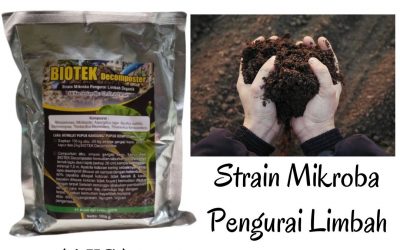 ORGANIK ! 0812-2882-4834 Pupuk Penyubur Tanah Di Blitar, Decomposer Di Kanigoro, Pupuk Probiotik Organik Di Bojonegoro
