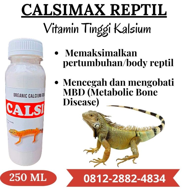 AMANAH ! 0812-2882-4834 Suplier Reptile Calcium Kalsium Reptil Di Bogor, Pusat Kalsium Reptile Ular Di Cibinong, Distributor Asupan Kalsium Reptile Di Ciamis