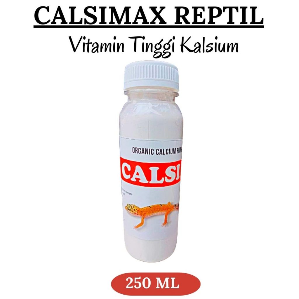 Suplier Reptile Calcium Kalsium Reptil Di Bogor, Pusat Kalsium Reptile Ular Di Cibinong, Distributor Asupan Kalsium Reptile Di Ciamis, Produsen Kalsium Vitamin Reptil Di Cianjur, Pabrik Kalsium Multivitamin Gecko Di Cirebon, Agen Bubuk Kalsium 100% Untuk Reptil Di Sumber, Harga Calcium Kalsium Reptil Kura Kura Darat Di Garut, Grosir Kalsium Reptile Dan Hewan Di Tarogong Kidul, Jual Kalsium Reptile Di Indramayu, Supplier Calcium Untuk Reptil Di Karawang