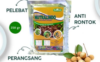SEDANG DISKON! WA 0812-2882-4834 AGEN pupuk kelengkeng saat berbunga di Sampang, PUSAT pupuk khusus kelengkeng di Sidoarjo, JUAL pupuk untuk kelengkeng merah di Situbondo