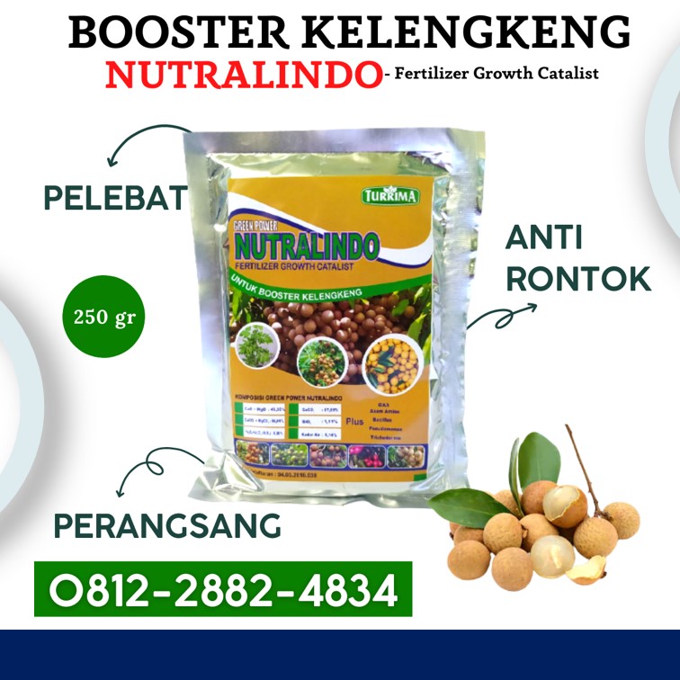 AGEN pupuk kelengkeng saat berbunga di Sampang, PUSAT pupuk khusus kelengkeng di Sidoarjo, JUAL pupuk untuk kelengkeng merah di Situbondo, PABRIK pupuk untuk membuahkan kelengkeng di Banjarnegara, HARGA pupuk untuk mempercepat pertumbuhan kelengkeng di Banyumas, SUPPLIER pupuk mempercepat buah kelengkeng di Batang, GROSIR pupuk organik kelengkeng di Blora, PRODUSEN pupuk penyubur kelengkeng di Boyolali, DISTRIBUTOR pupuk pohon kelengkeng di Brebes, TOKO pupuk pembuahan kelengkeng di Cilacap