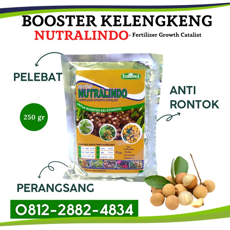 DISTRIBUTOR pupuk perangsang bunga dan buah kelengkeng di Ponorogo, TOKO pupuk yang digunakan untuk kelengkeng di Probolinggo, AGEN pupuk kelengkeng saat berbunga di Sampang, PUSAT pupuk khusus kelengkeng di Sidoarjo, JUAL pupuk untuk kelengkeng merah di Situbondo, PABRIK pupuk untuk membuahkan kelengkeng di Banjarnegara, HARGA pupuk untuk mempercepat pertumbuhan kelengkeng di Banyumas, SUPPLIER pupuk mempercepat buah kelengkeng di Batang, GROSIR pupuk organik kelengkeng di Blora, PRODUSEN pupuk penyubur kelengkeng di Boyolali
