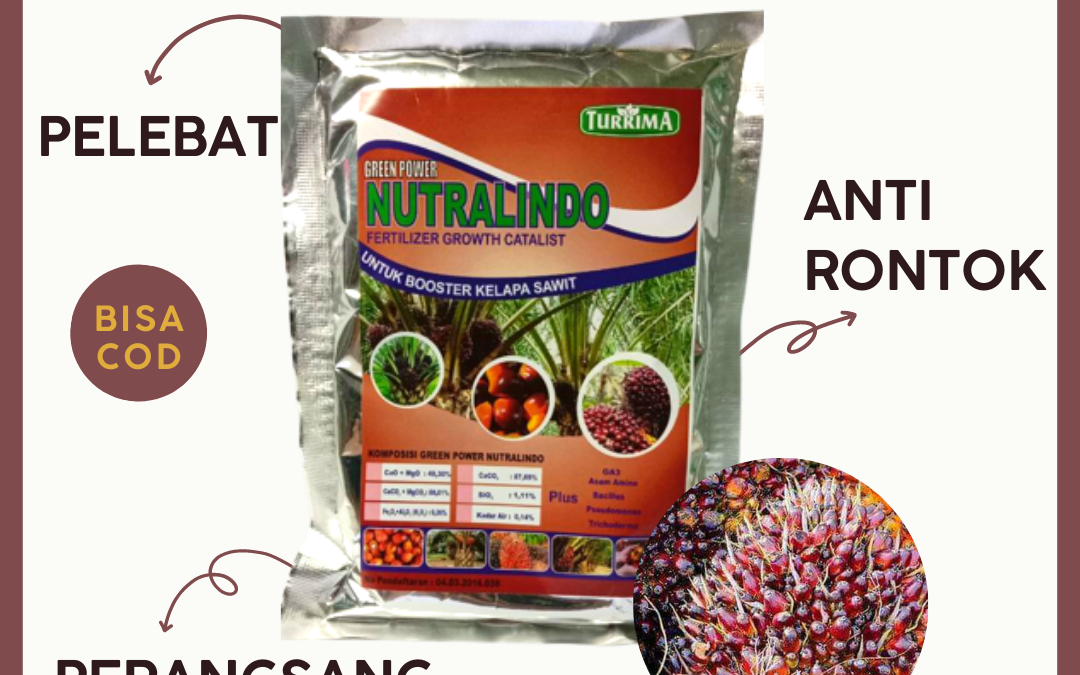 AMAN! WA 0812-2882-4834 DISTRIBUTOR pupuk sawit cair di Dumai, TOKO pupuk sawit supaya cepat berbuah di Pekanbaru, AGEN pupuk sawit biar cepat berbuah di Bengkalis