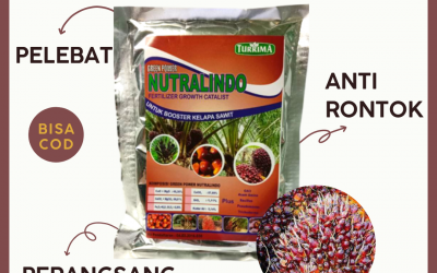 AMAN! WA 0812-2882-4834 DISTRIBUTOR pupuk sawit cair di Dumai, TOKO pupuk sawit supaya cepat berbuah di Pekanbaru, AGEN pupuk sawit biar cepat berbuah di Bengkalis