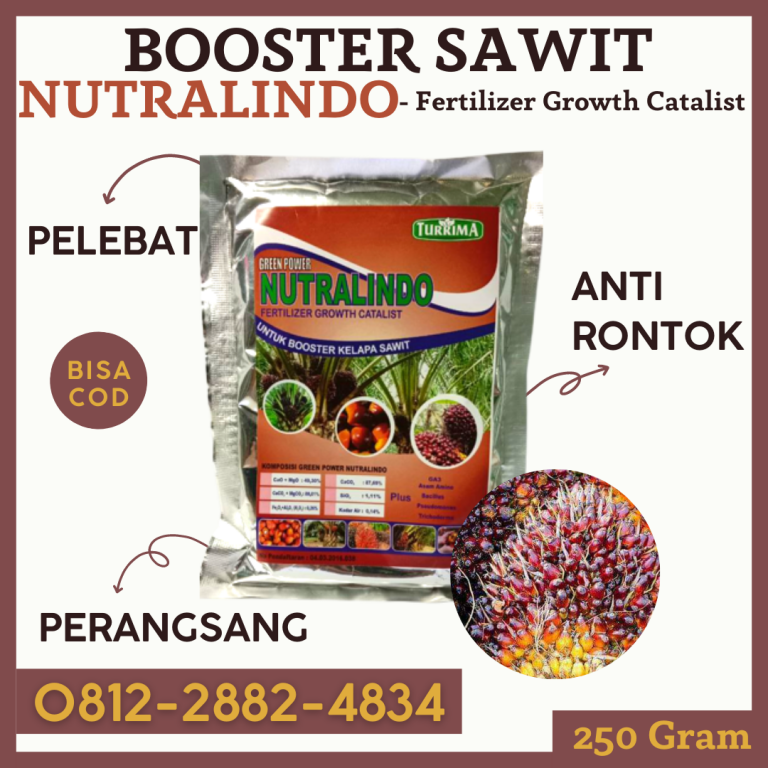 AMAN! WA 0812-2882-4834 DISTRIBUTOR pupuk sawit cair di Dumai, TOKO pupuk sawit supaya cepat berbuah di Pekanbaru, AGEN pupuk sawit biar cepat berbuah di Bengkalis
