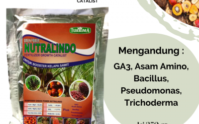 TERLARIS! WA 0812-2882-4834 GROSIR pupuk akar sawit di Rokan Hulu, PRODUSEN pupuk booster sawit di Siak, DISTRIBUTOR pupuk sawit cair di Dumai