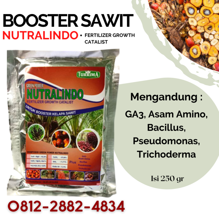 TERLARIS! WA 0812-2882-4834 GROSIR pupuk akar sawit di Rokan Hulu, PRODUSEN pupuk booster sawit di Siak, DISTRIBUTOR pupuk sawit cair di Dumai