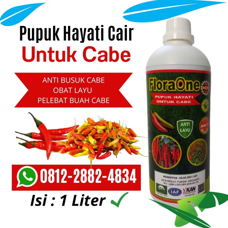 Grosir Fungisida Antraknosa Cabai Jember, Jual Pupuk Fungisida Alami Cabe Jombang, Supplier Fungisida Untuk Akar Cabe Kediri, Suplier Fungisida Untuk Antraknosa Cabai Ngasem, Pusat Fungisida Alami Untuk Cabe Lamongan, Distributor Fungisida Untuk Antraknosa Pada Cabai Lumajang