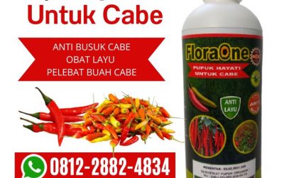 CEGAH LAYU! 0812-2882-4834, Harga Fungisida Cabai Musim Kemarau Gresik, Grosir Fungisida Antraknosa Cabai Jember, Jual Pupuk Fungisida Alami Cabe Jombang