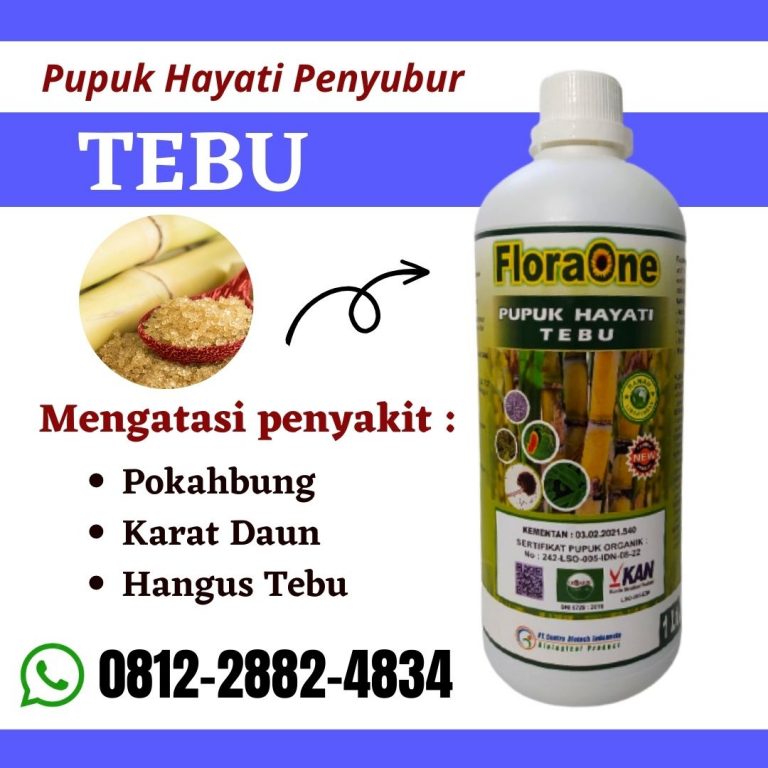 TERBUKTI! 0812-2882-4834, Jual Pupuk Stek Tebu Kota Madiun, Supplier Pupuk Tebu Hitam Kota Malang, Suplier Pupuk Tebu Ireng Kota Mojokerto
