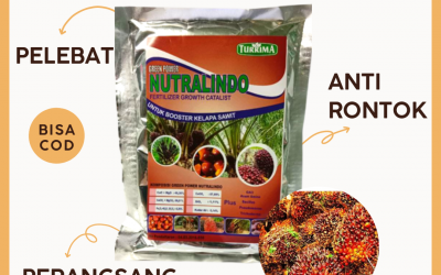 AMANAH! WA 0812-2882-4834 PRODUSEN pupuk booster sawit di Siak, DISTRIBUTOR pupuk sawit cair di Dumai, TOKO pupuk sawit supaya cepat berbuah di Pekanbaru