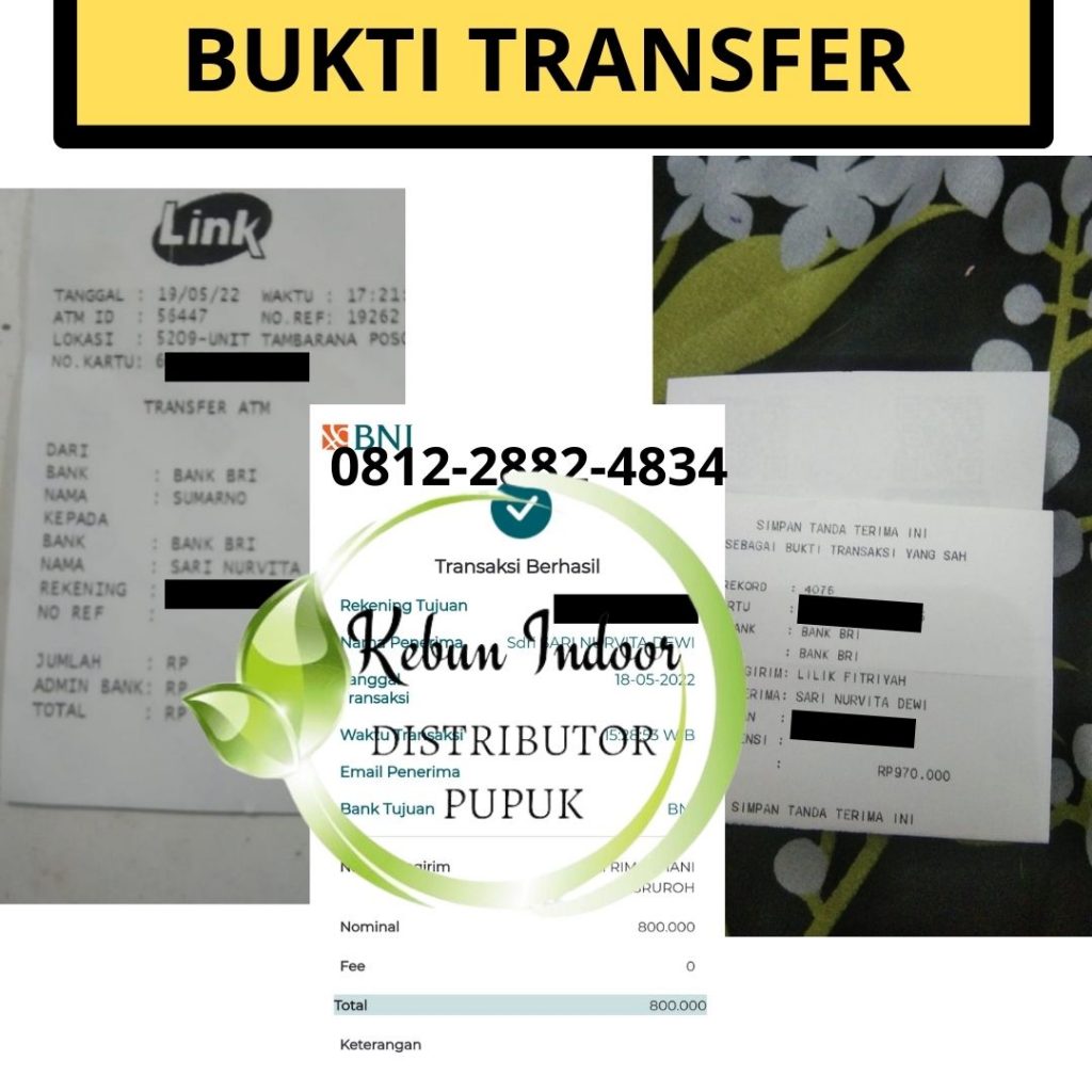 PRODUSEN pupuk supaya pohon alpukat cepat berbuah di Lampung Timur, DISTRIBUTOR pupuk pohon alpukat agar cepat berbuah di Mesuji, TOKO pupuk yang cocok untuk tanaman alpukat di Pesawaran, AGEN pupuk daun alpukat di Pesisir Barat, PUSAT pupuk dasar alpukat di Pringsewu, JUAL pupuk untuk daun alpukat di Tulang Bawang, PABRIK pupuk perangsang bunga dan buah alpukat di Banjarnegara, HARGA pupuk daun untuk alpukat di Banyumas, SUPPLIER pupuk dan obat hama alpukat di Batang, GROSIR pupuk dasar tanaman alpukat di Blora