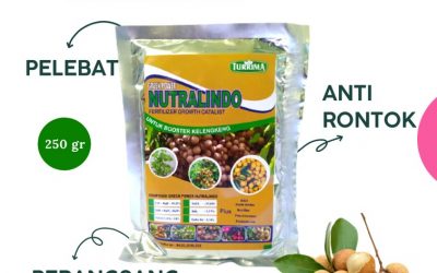 PROMO! WA 0812-2882-4834 PUSAT pupuk khusus kelengkeng di Sidoarjo, JUAL pupuk untuk kelengkeng merah di Situbondo, PABRIK pupuk untuk membuahkan kelengkeng di Banjarnegara