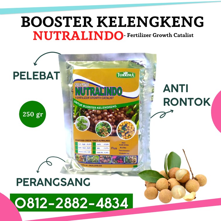 PUSAT pupuk khusus kelengkeng di Sidoarjo, JUAL pupuk untuk kelengkeng merah di Situbondo, PABRIK pupuk untuk membuahkan kelengkeng di Banjarnegara, HARGA pupuk untuk mempercepat pertumbuhan kelengkeng di Banyumas, SUPPLIER pupuk mempercepat buah kelengkeng di Batang
