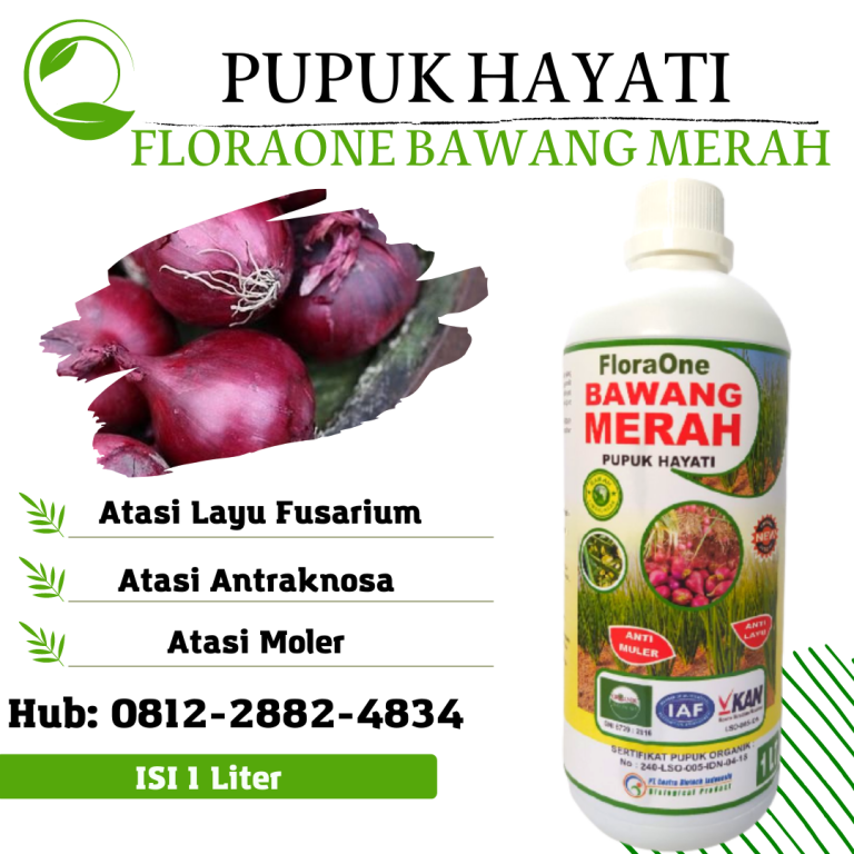 ORI! 0812-2882-4834, Pusat Fungisida Untuk Embun Tepung Bawang Merah Lima Puluh Kota, Distributor Fungisida Layu Fusarium Bawang Merah Padang Pariaman, Produsen Fungisida Terbaik Bawang Merah Musim Hujan Pasaman