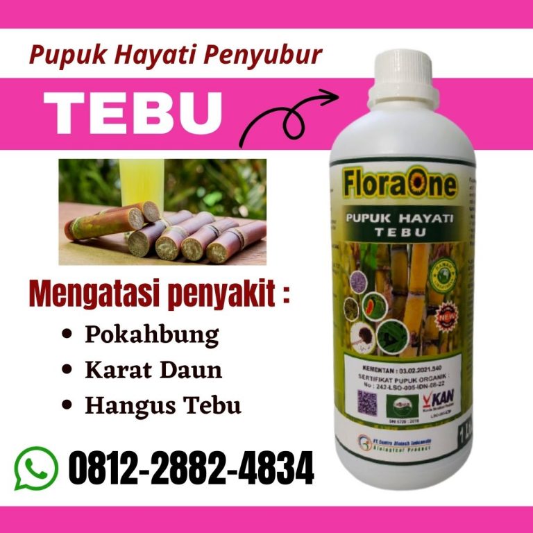 TERBAIK! 0812-2882-4834, Supplier Pupuk Tebu Hitam Kota Malang, Suplier Pupuk Tebu Ireng Kota Mojokerto, Pusat Pupuk Bibit Tebu Hijau Kota Pasuruan
