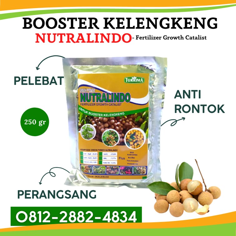 TOKO pupuk yang digunakan untuk kelengkeng di Probolinggo, AGEN pupuk kelengkeng saat berbunga di Sampang, PUSAT pupuk khusus kelengkeng di Sidoarjo, JUAL pupuk untuk kelengkeng merah di Situbondo, PABRIK pupuk untuk membuahkan kelengkeng di Banjarnegara, HARGA pupuk untuk mempercepat pertumbuhan kelengkeng di Banyumas, SUPPLIER pupuk mempercepat buah kelengkeng di Batang, GROSIR pupuk organik kelengkeng di Blora, PRODUSEN pupuk penyubur kelengkeng di Boyolali, DISTRIBUTOR pupuk pohon kelengkeng di Brebes