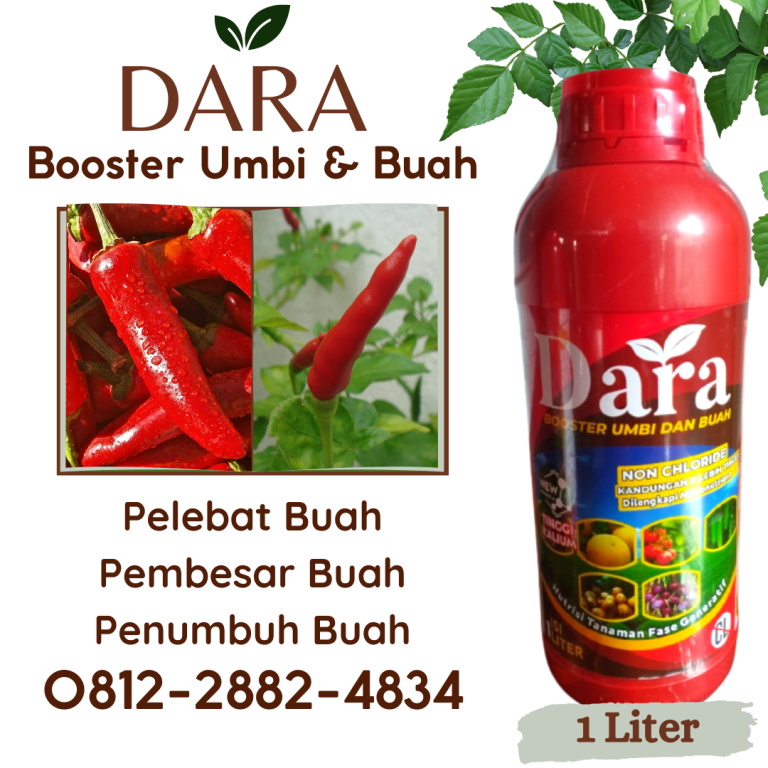 ASLI! 0812-2882-4834, Distributor Obat Cabe Rawit Merangin, Produsen Obat Cabe Rontok Bangko, Supplier Obat Cabe Keriting Jambi