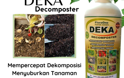 PROMO! 0813-2747-3262 Grosir Pengendali Penyakit Tanaman Kakao Cirebon, Jual Pengendali Penyakit Tanaman Mangga Depok, Pabrik Obat Penyubur Tanaman Hias Bandung