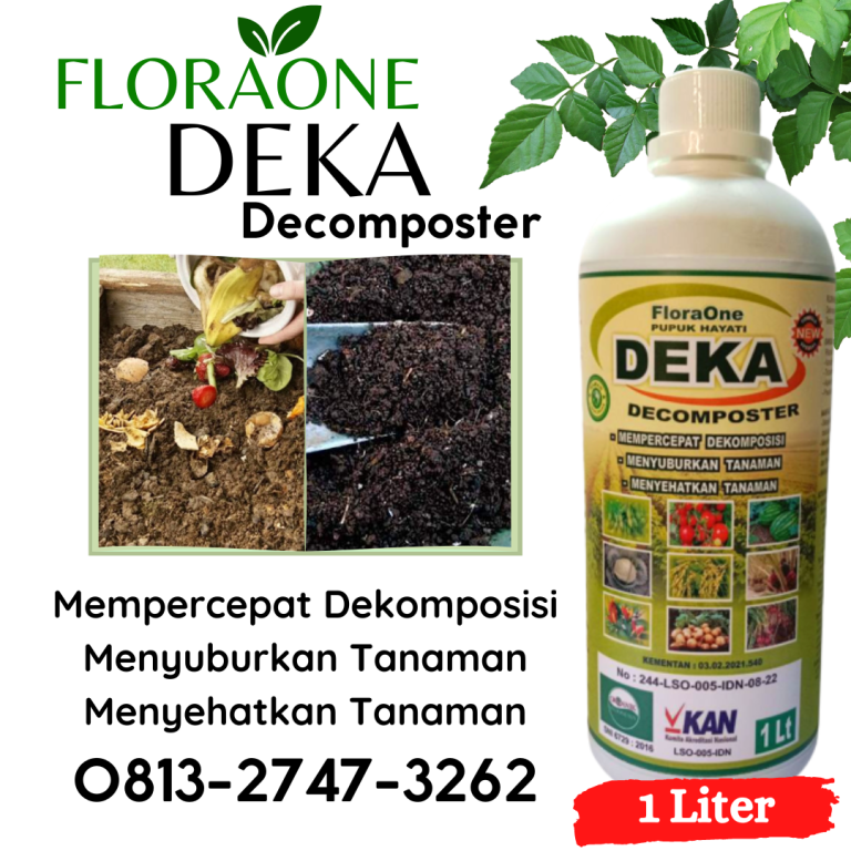 PROMO! 0813-2747-3262 Grosir Pengendali Penyakit Tanaman Kakao Cirebon, Jual Pengendali Penyakit Tanaman Mangga Depok, Pabrik Obat Penyubur Tanaman Hias Bandung