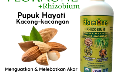 PROMO! 0813-2747-3262 Grosir Pupuk Cair Anti Kerdi Pada Kedelai Pringsewu, Jual Fungisida Hayati Pencegah Antraknosa Kedelai Tulang Bawang, Pabrik Obat Kedelai Hitam Lampung Tengah