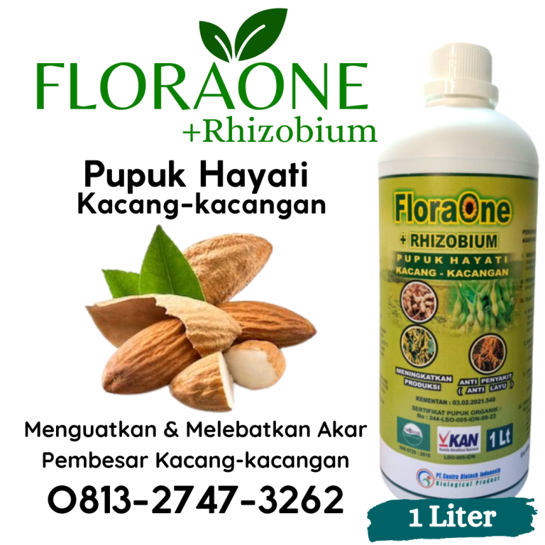 PROMO! 0813-2747-3262 Grosir Pupuk Cair Anti Kerdi Pada Kedelai Pringsewu, Jual Fungisida Hayati Pencegah Antraknosa Kedelai Tulang Bawang, Pabrik Obat Kedelai Hitam Lampung Tengah