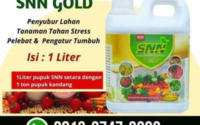 TERBARU! 0813-2747-3262, Harga Pupuk Khusus Jeruk Kota Semarang, Grosir Pupuk Khusus Jagung Kota Surakarta, Jual Pupuk Khusus Jahe Kota Tegal